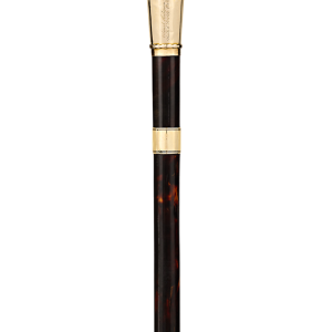 Walking stick PNG