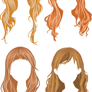 Hair wig PNG