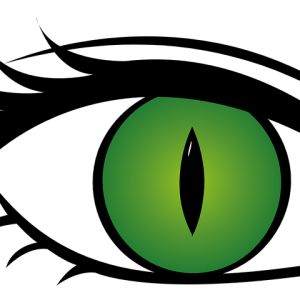 Eyelash PNG
