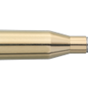 Bullets PNG image