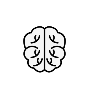 Brain PNG
