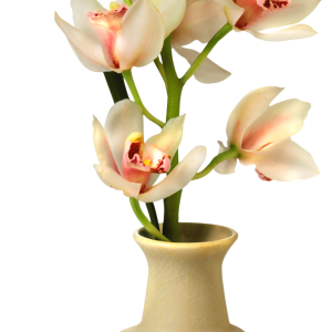 Vase PNG