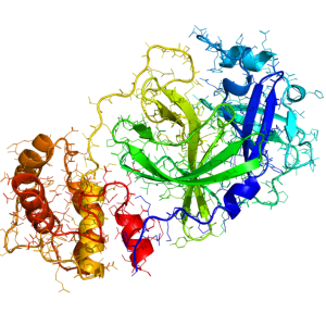 Coronavirus PNG