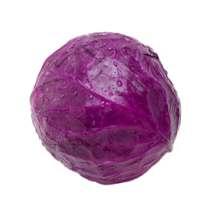 Cabbage PNG image