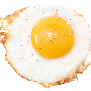 Fried egg PNG