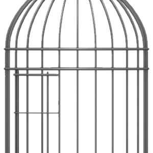Cage bird PNG