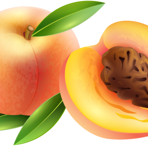 Sliced apricot PNG