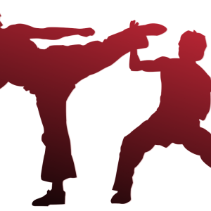 Karate PNG