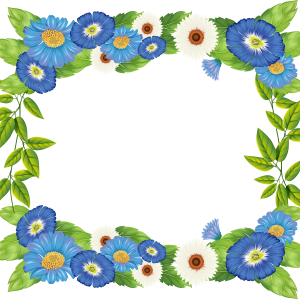Floral frame PNG