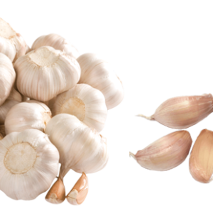 Garlic PNG