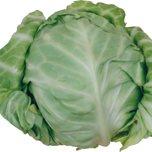 Cabbage PNG