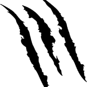 Scratches claw PNG image