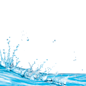 Sea PNG