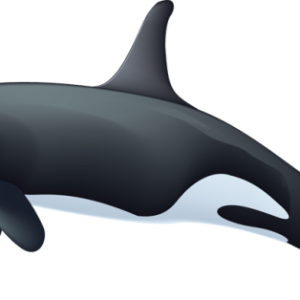 Whale PNG