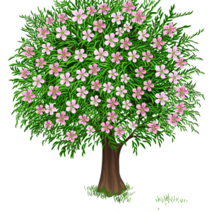 tree PNG