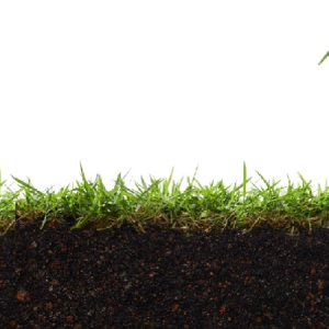Soil PNG
