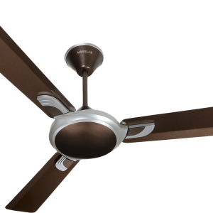 Fan PNG