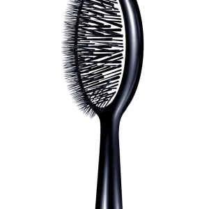 Hairbrush PNG