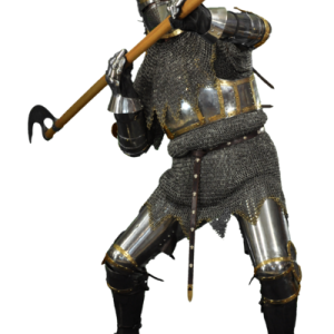 Medieval knight PNG