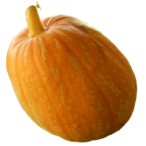 Pumpkin PNG