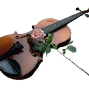 Violin PNG