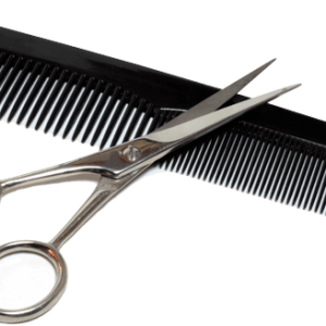 Comb PNG