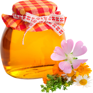 Honey PNG