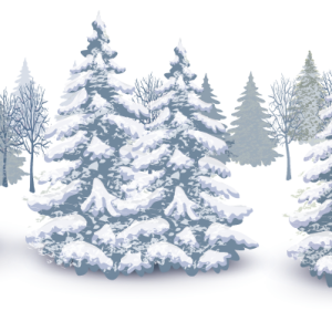 Winter forest PNG