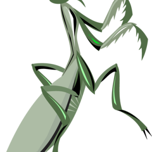 Mantis PNG
