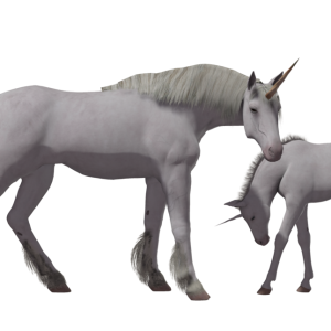 Unicorn PNG