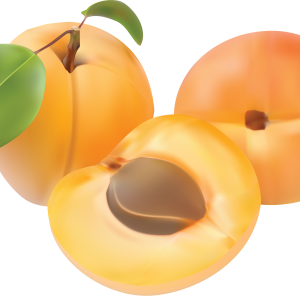Apricot PNG
