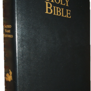 Bible PNG