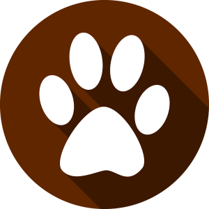 Paw PNG