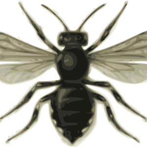 Bee PNG