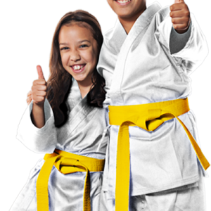 Karate PNG