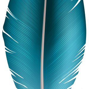 blue Feather PNG