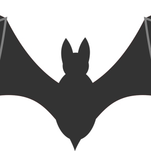 Bat PNG