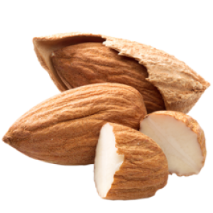 Almond PNG