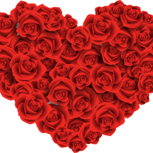 Heart PNG