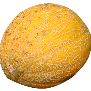 Melon PNG