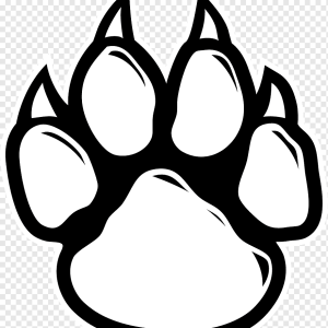 Paw PNG