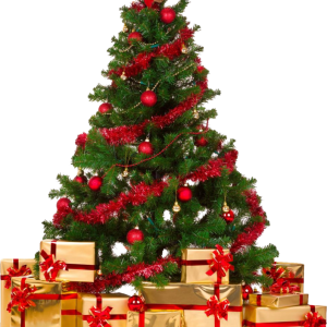 Christmas tree PNG
