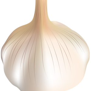 Garlic PNG