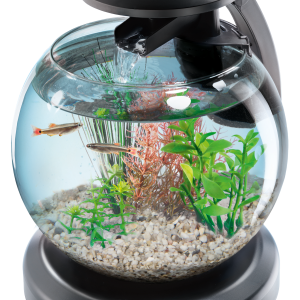 Aquarium PNG