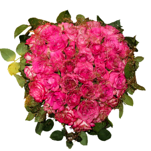 Bouquet flowers PNG
