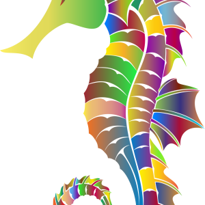 Seahorse PNG