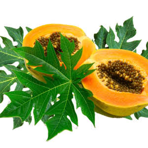 Papaya PNG