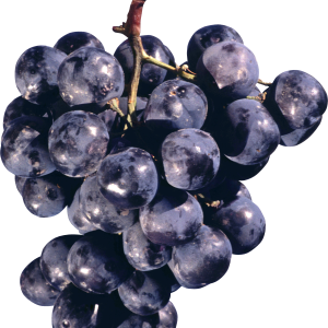 Grape PNG image