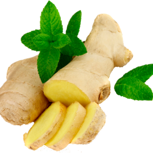 Ginger PNG