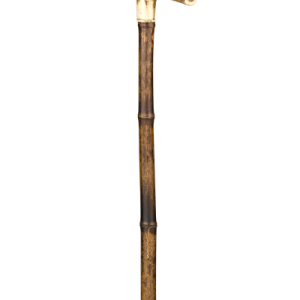 Walking stick PNG